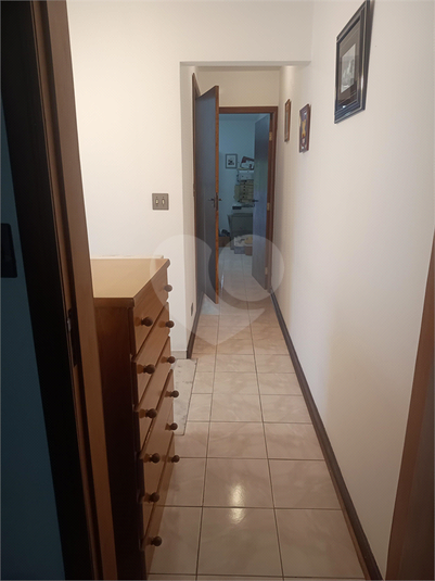 Foto REO1067369