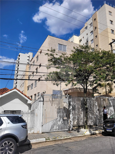 Foto REO1067435
