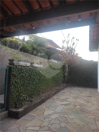 Foto REO1067566