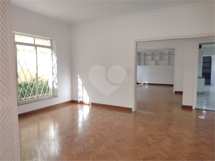 Foto REO106763