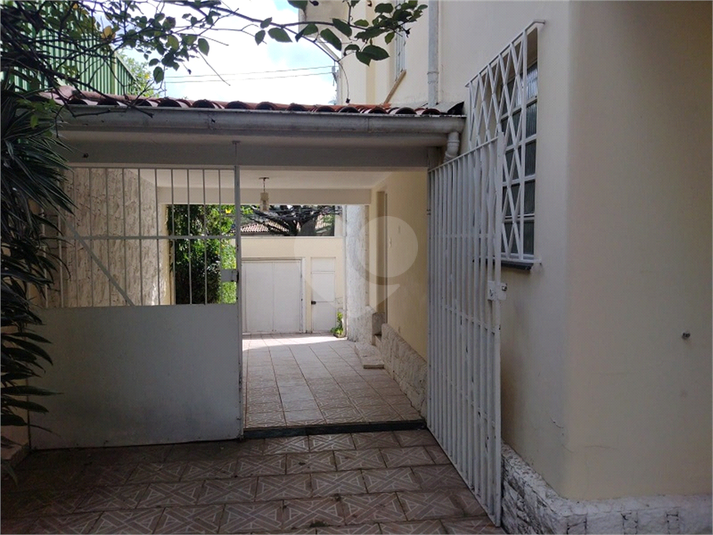 Foto REO106763