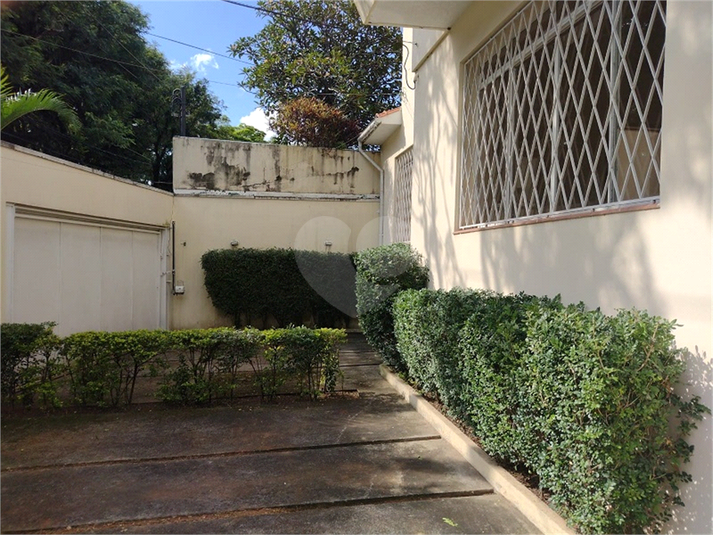 Foto REO106763