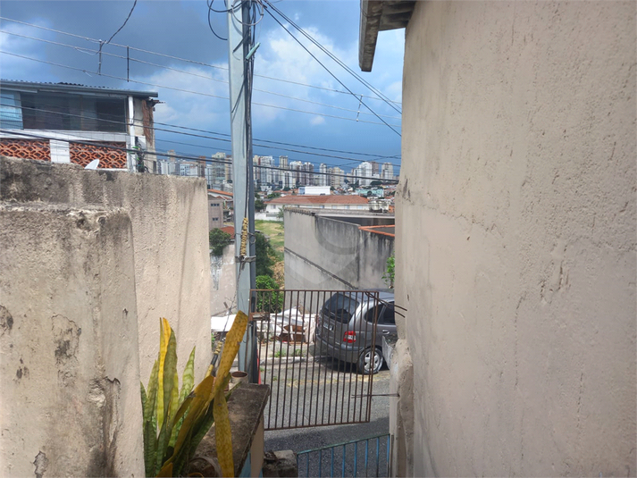 Foto REO1067652