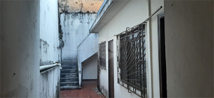 Foto REO1067748