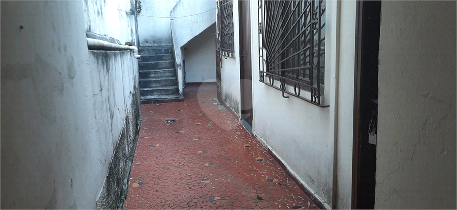 Foto REO1067748