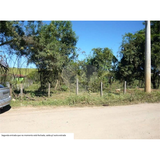 Foto REO1067764