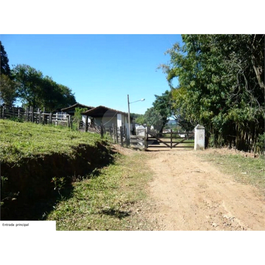 Foto REO1067764