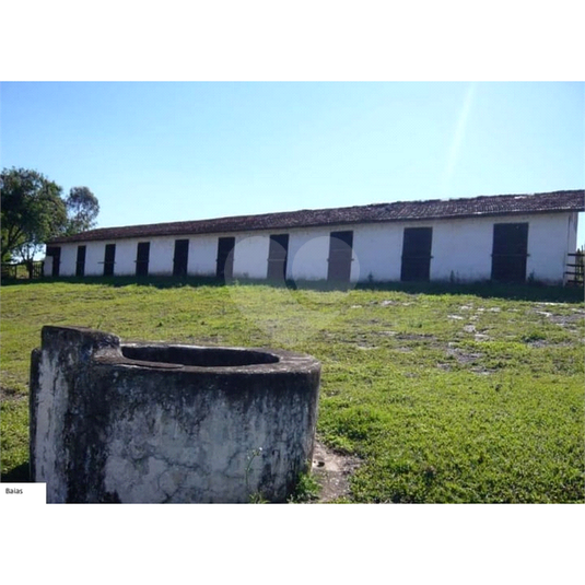 Foto REO1067764