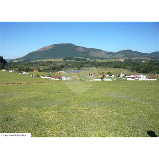 Foto REO1067764