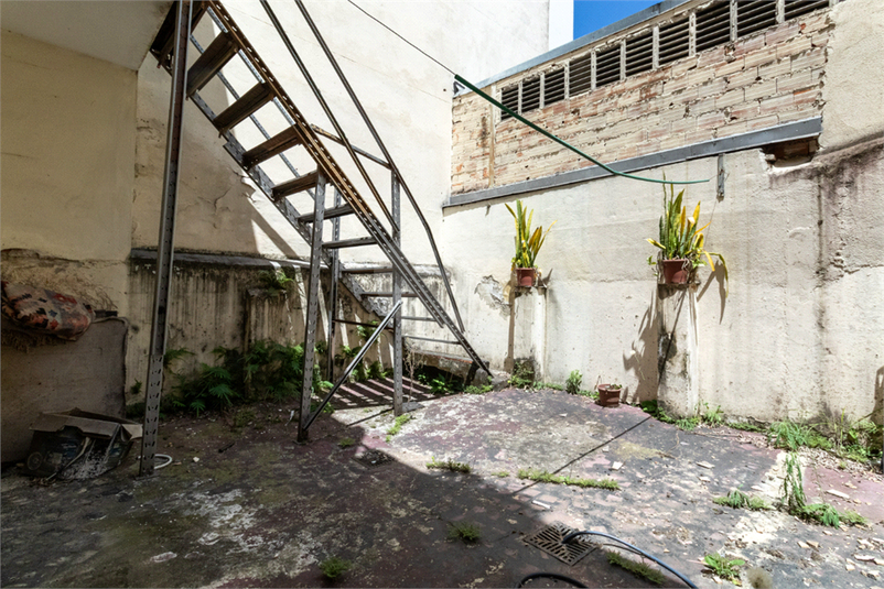 Foto REO1067801