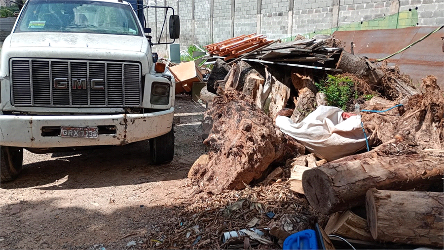 Aluguel Terreno São Paulo Vila Palmeiras REO1067809 7