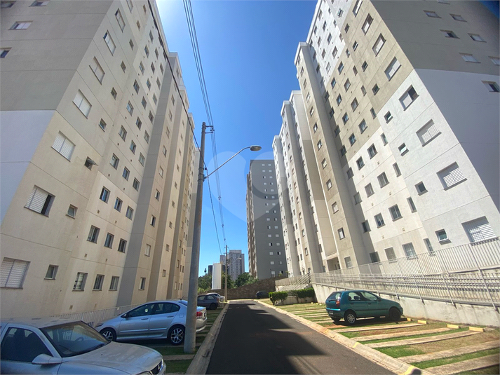 Foto REO1067844