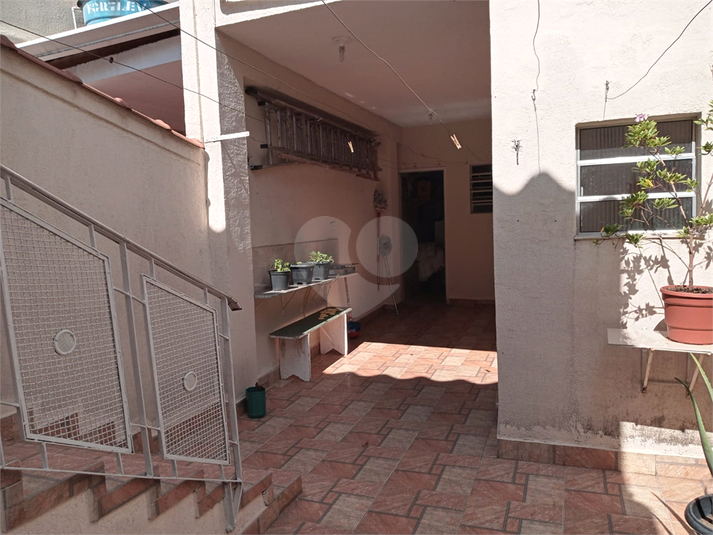 Foto REO1067865