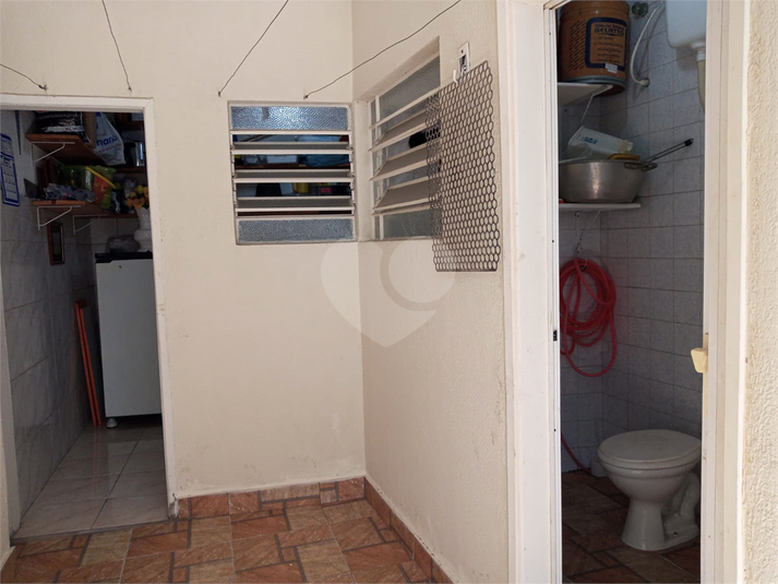 Foto REO1067865