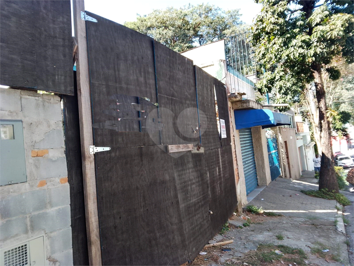Foto REO1067883