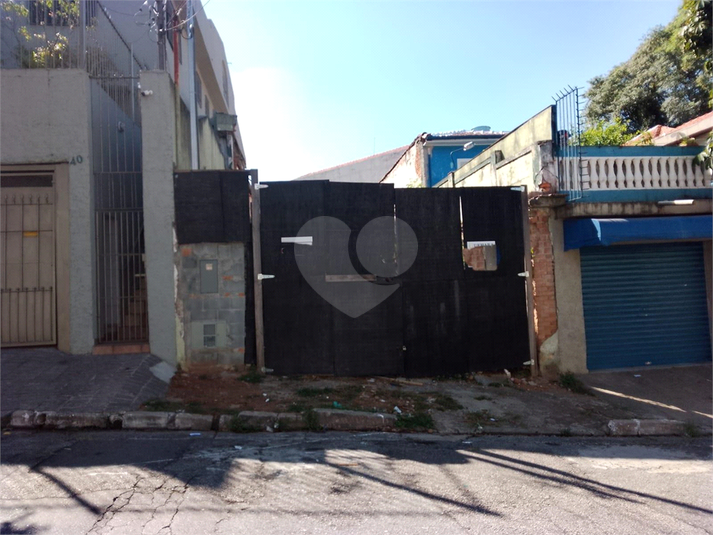 Foto REO1067883