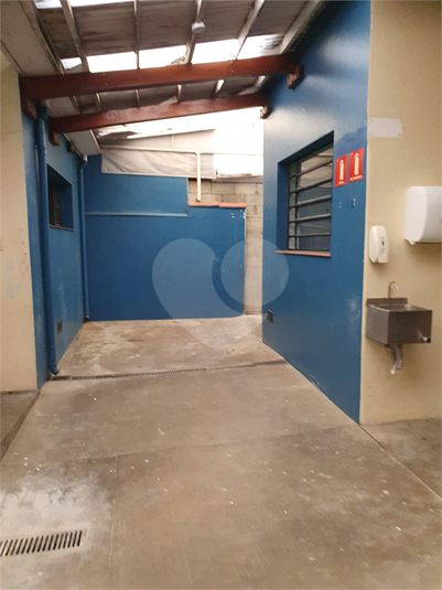 Foto REO1067930