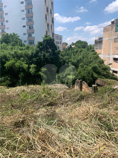 Foto REO1067971