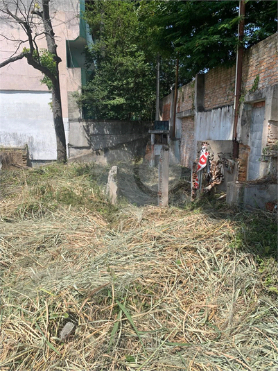 Foto REO1067971