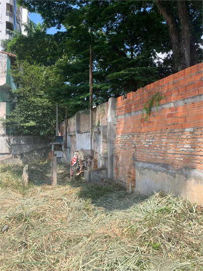 Foto REO1067971