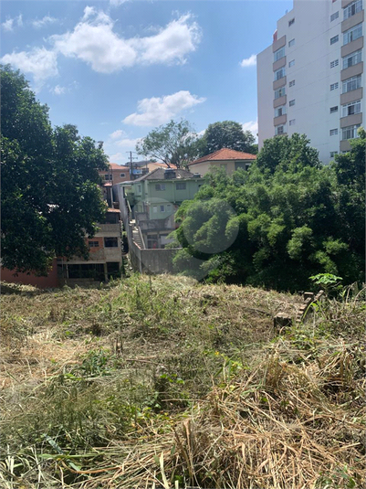 Foto REO1067971