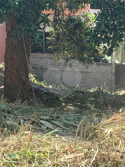 Foto REO1067971