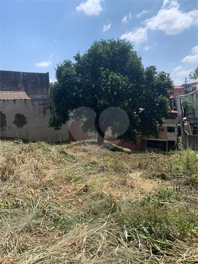 Foto REO1067971
