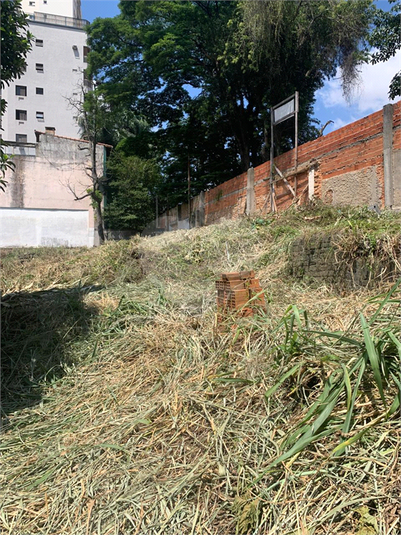 Foto REO1067992