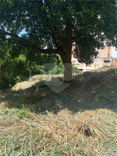 Foto REO1067992