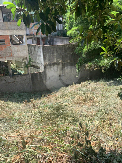 Foto REO1067992