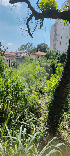 Venda Terreno São Paulo Vila Mariana REO1067992 10