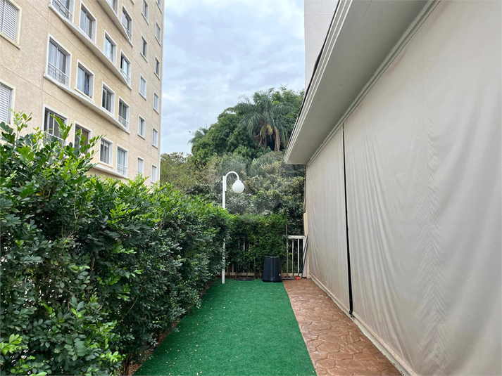Foto REO1068007
