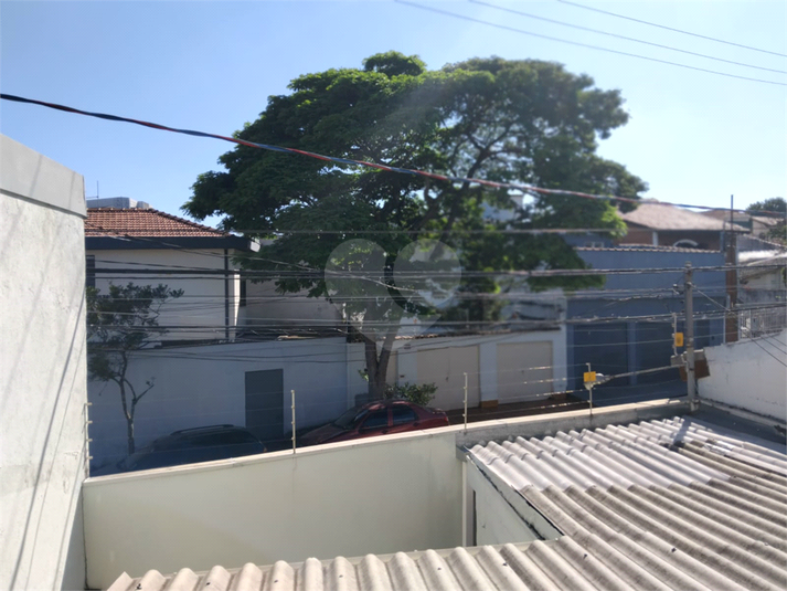 Foto REO1068022