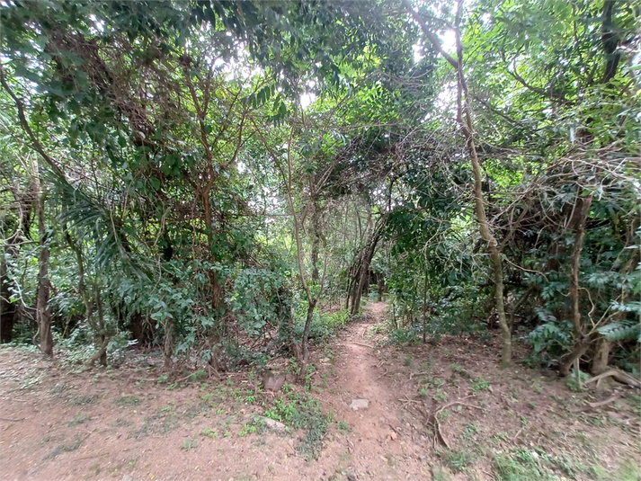 Foto REO1068089