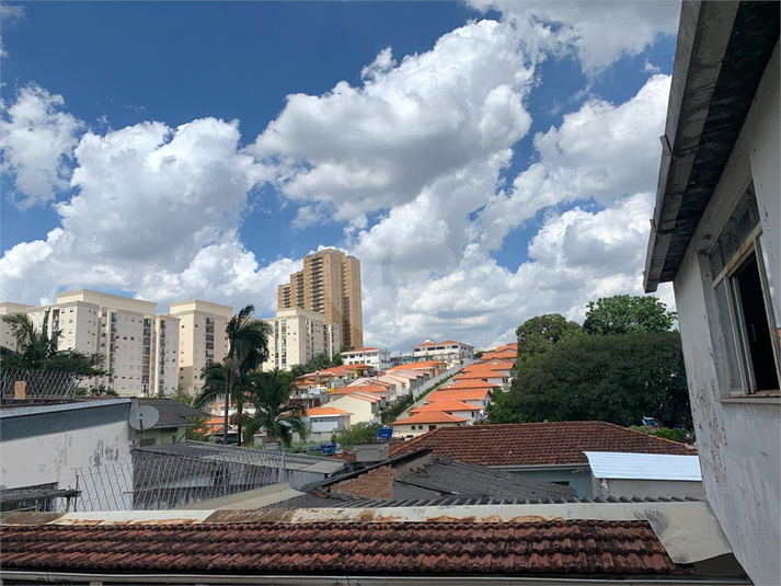 Foto REO1068095