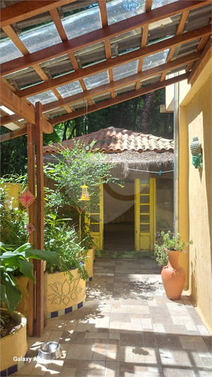 Foto REO1068098