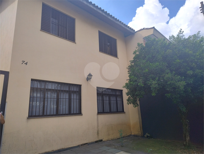 Foto REO1068164