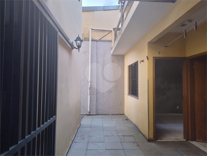 Foto REO1068164