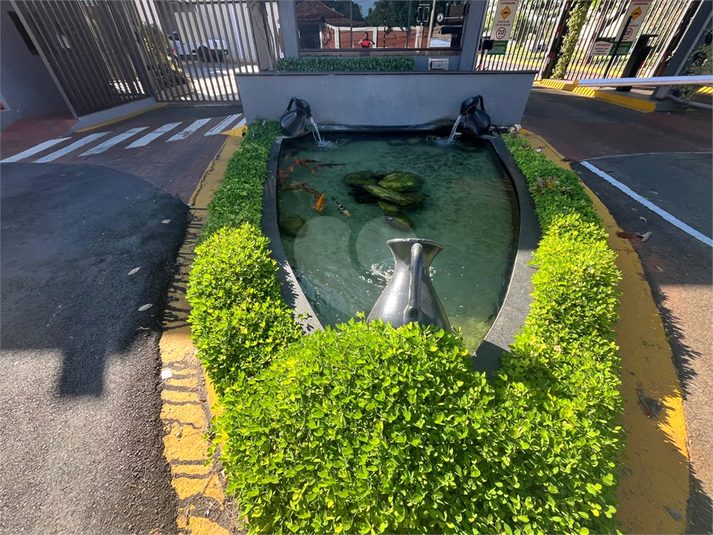 Foto REO1068169