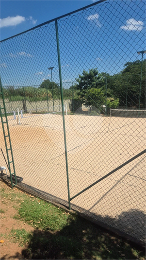 Foto REO1068169