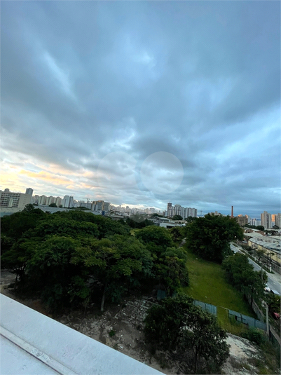 Foto REO1068179