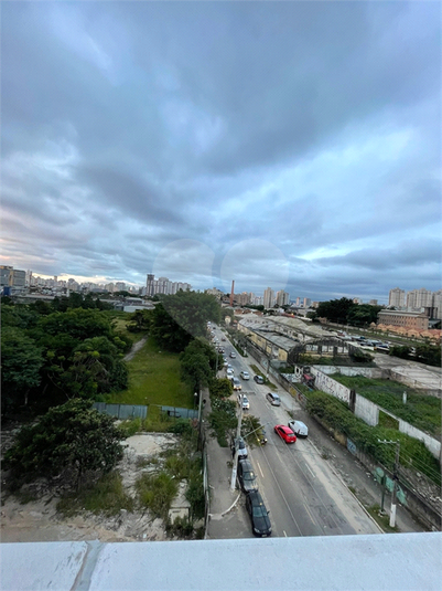 Foto REO1068179