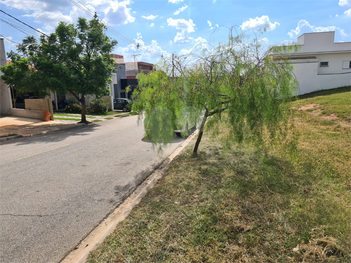 Foto REO1068182