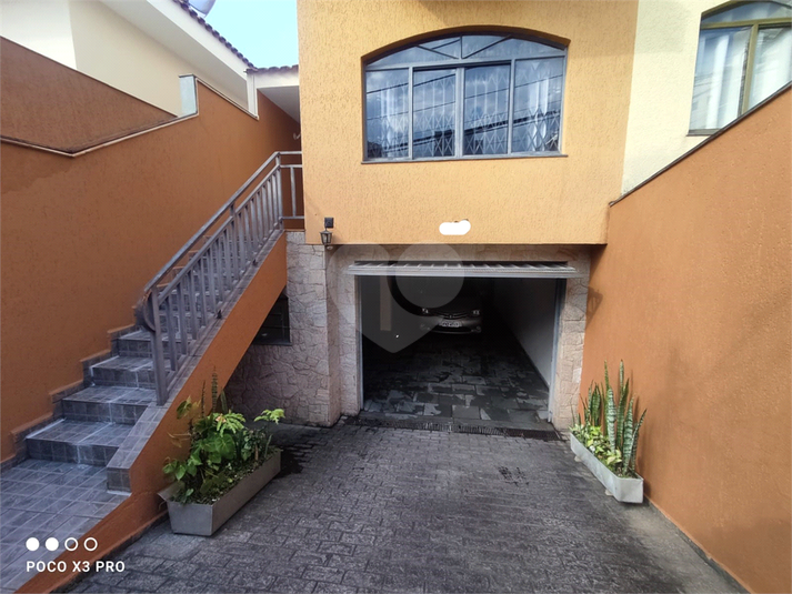 Foto REO1068186