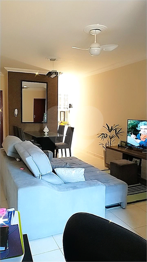 Foto REO1068235