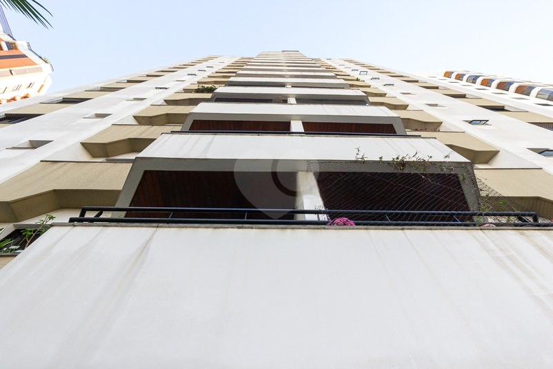 Foto REO1068240