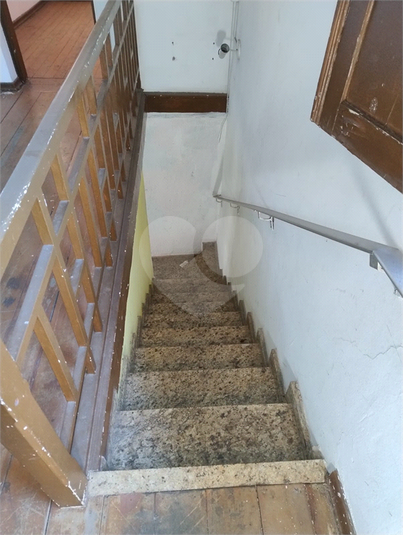 Foto REO1068279
