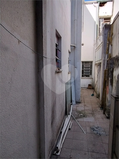 Foto REO1068279