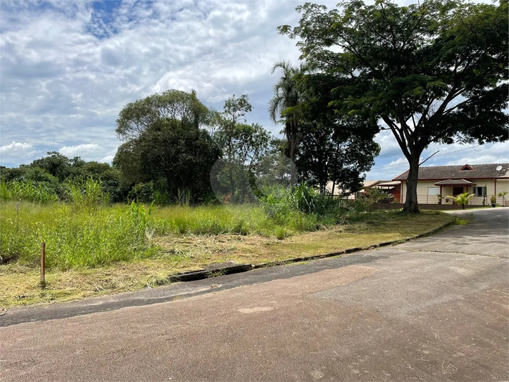 Foto REO1068363