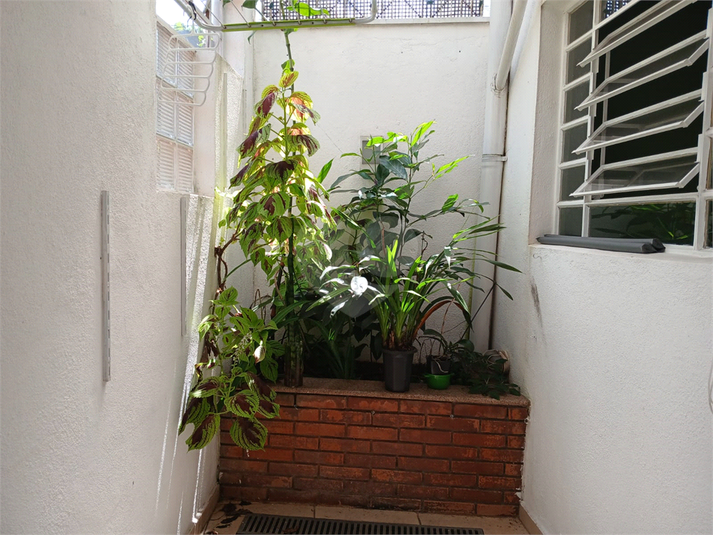 Foto REO1068444